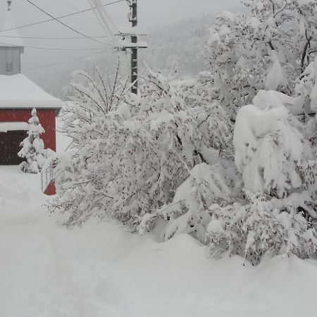 Les Gentianes Appartement Breitenbach-Haut-Rhin Buitenkant foto