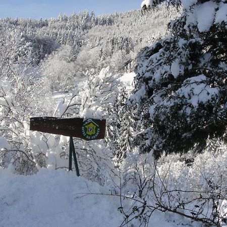 Les Gentianes Appartement Breitenbach-Haut-Rhin Buitenkant foto