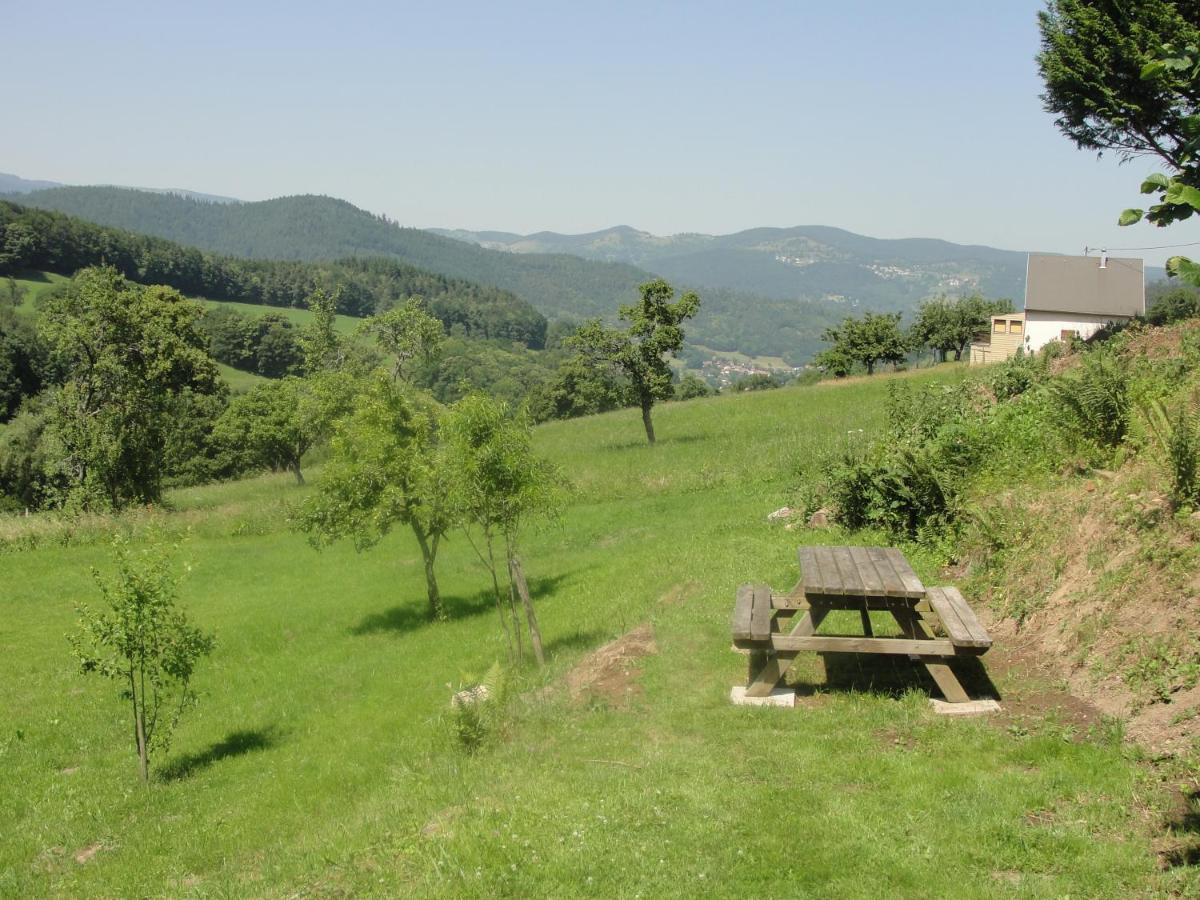 Les Gentianes Appartement Breitenbach-Haut-Rhin Buitenkant foto