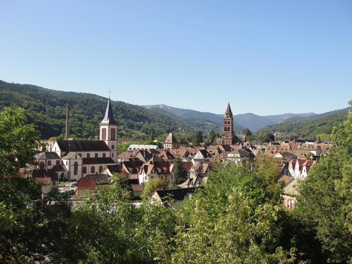 Les Gentianes Appartement Breitenbach-Haut-Rhin Buitenkant foto