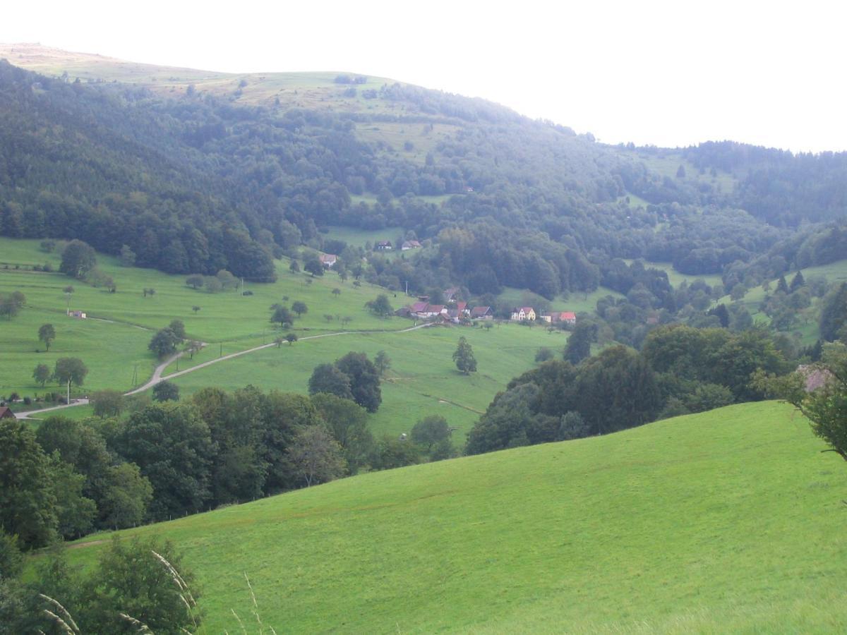 Les Gentianes Appartement Breitenbach-Haut-Rhin Buitenkant foto