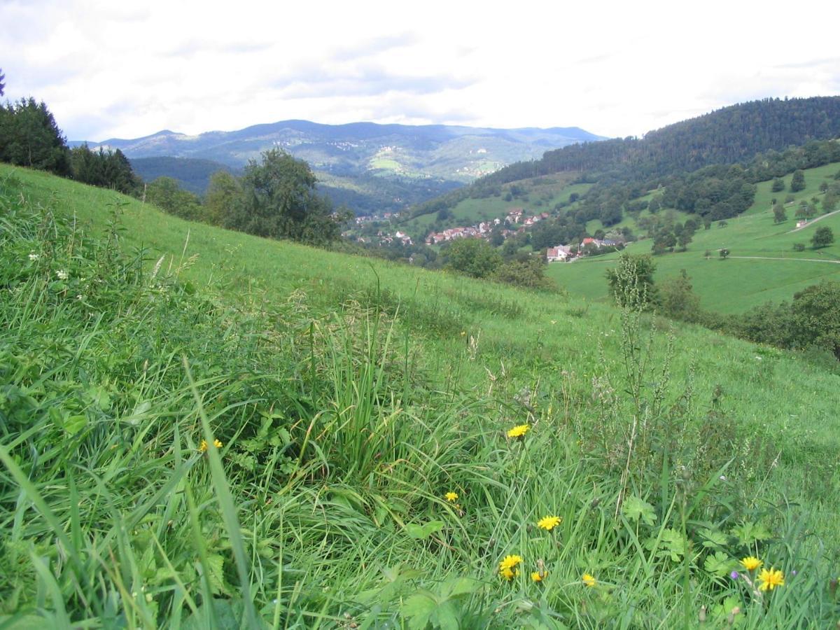 Les Gentianes Appartement Breitenbach-Haut-Rhin Buitenkant foto