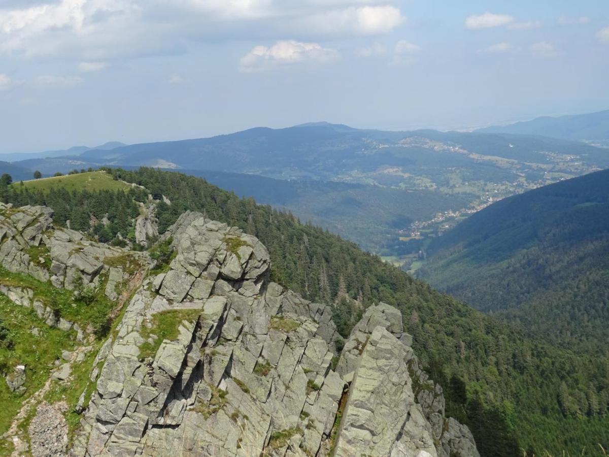 Les Gentianes Appartement Breitenbach-Haut-Rhin Buitenkant foto