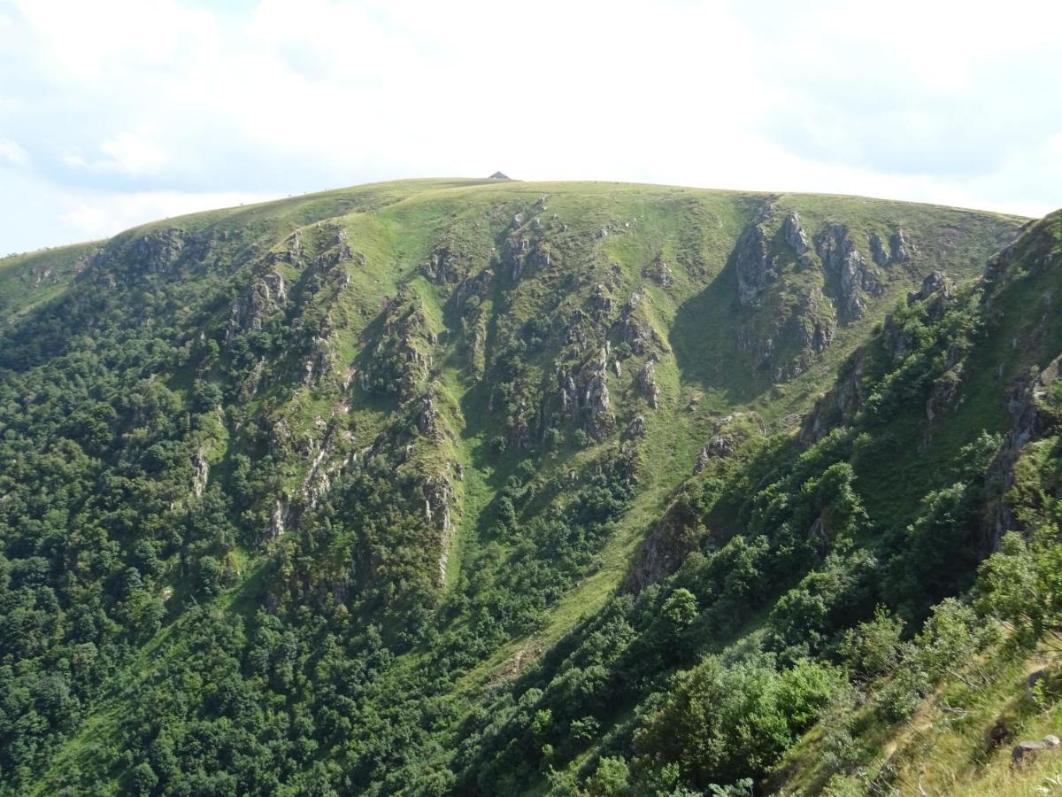 Les Gentianes Appartement Breitenbach-Haut-Rhin Buitenkant foto