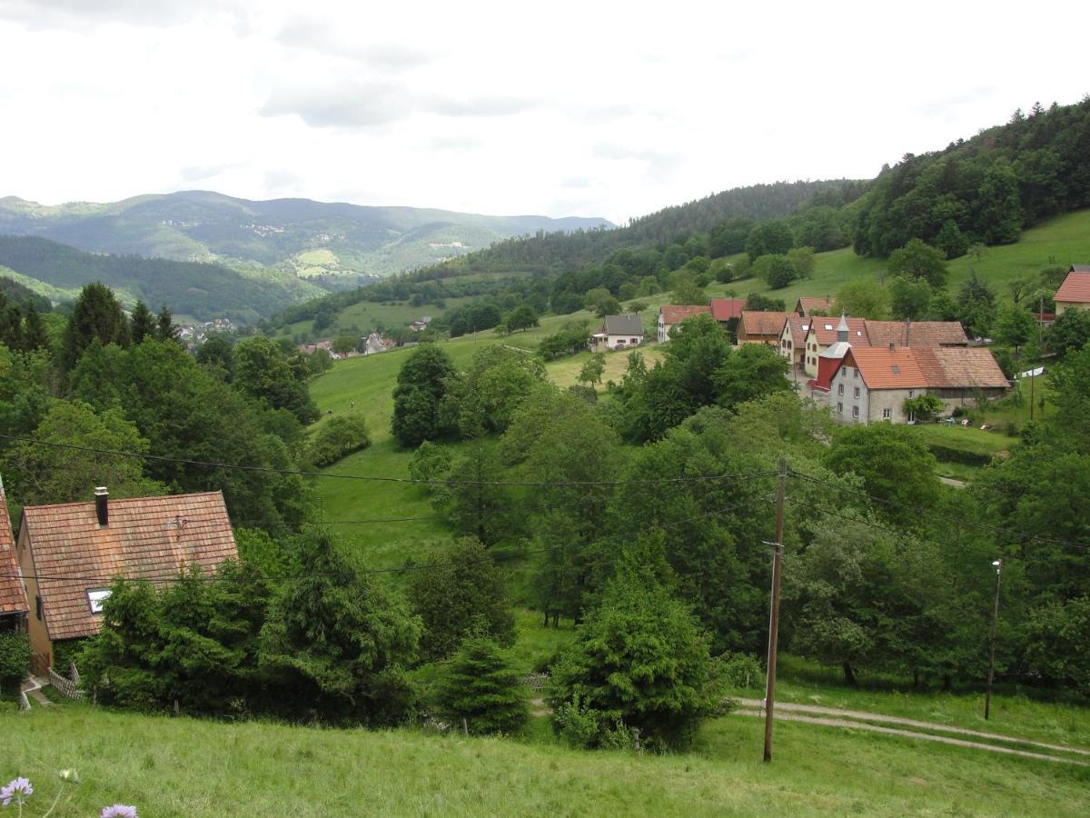 Les Gentianes Appartement Breitenbach-Haut-Rhin Buitenkant foto