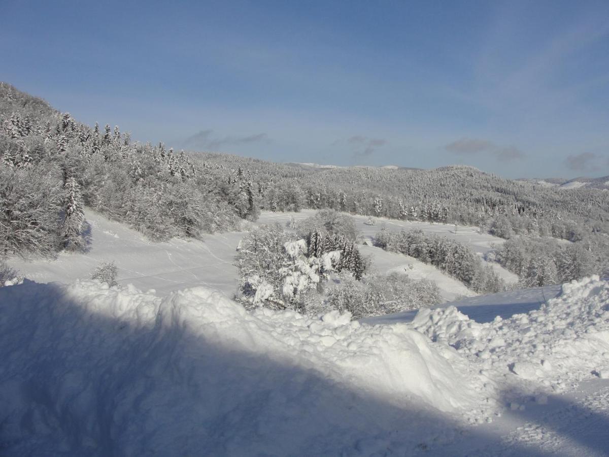 Les Gentianes Appartement Breitenbach-Haut-Rhin Buitenkant foto