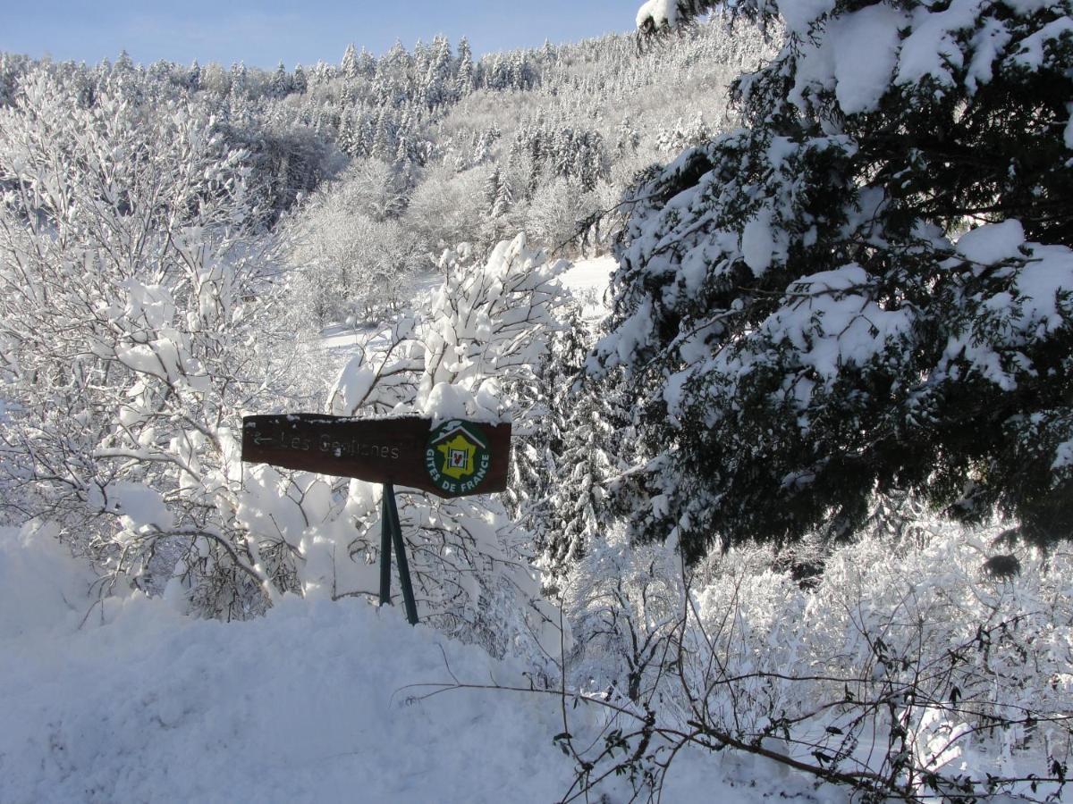 Les Gentianes Appartement Breitenbach-Haut-Rhin Buitenkant foto