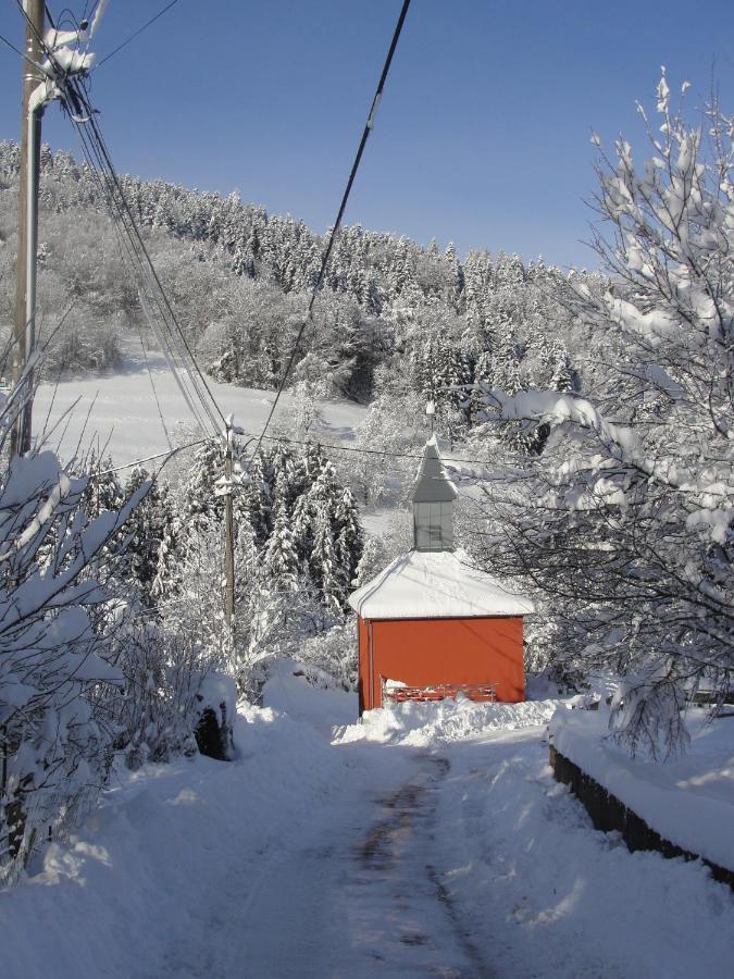 Les Gentianes Appartement Breitenbach-Haut-Rhin Buitenkant foto